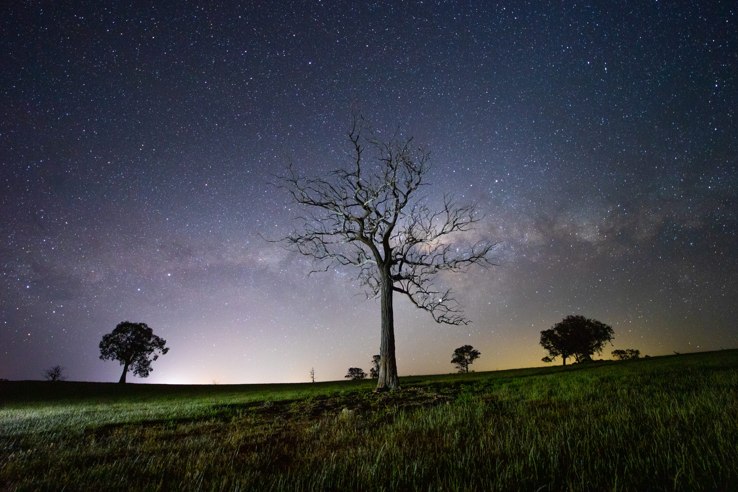 Samyang Af 14mm F2 8 Rf Review Nightscape Photographer